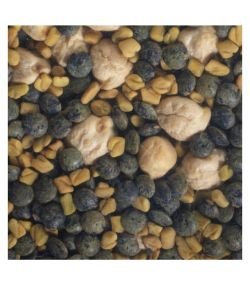 Graines à germer - Mix Protéines BIO, 200 g